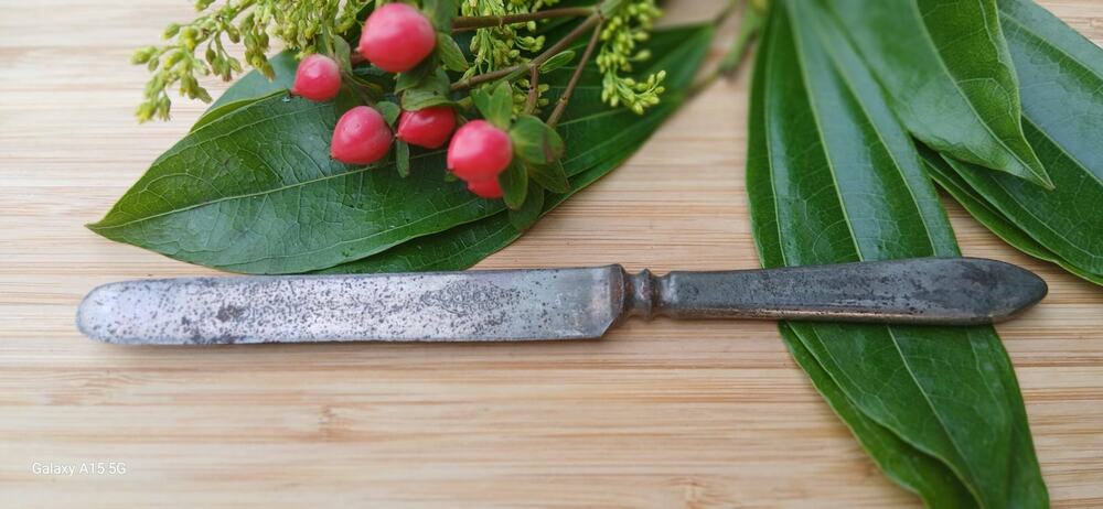 Vintage cutlery Rodgers Bro butter knife